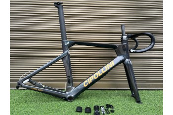 Cipollini AD.ONE Carbon Road Bicycle Frame Chameleon