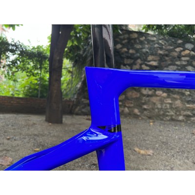 Pinarello DogMa F Carbon Road Bike Frame Blue-Pinarello кадров