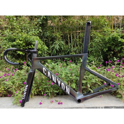 Carbon Fiber Road Bike Bicycle Frame Canyon 2021 New Aeroad Disc Chameleon-Canyon Aeroad 2021