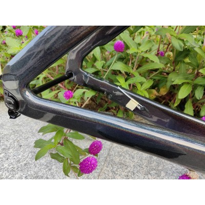 Carbon Fiber Road Bike Bicycle Frame Canyon 2021 New Aeroad Disc Chameleon-Canyon Aeroad 2021