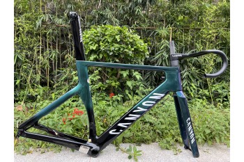 Cadru pentru bicicletă de drum din fibră de carbon Canyon 2021 Nou Aeroad Disc Chameleon