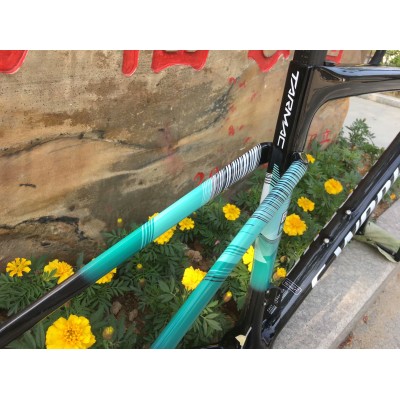 Рамка за пътен велосипед от въглеродни влакна S-Works Tarmac SL7 Frameset Дискова спирачка