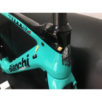 Bianchi XR4  Carbon Fiber Road Bicycle Frame-Canyon Aeroad 2021