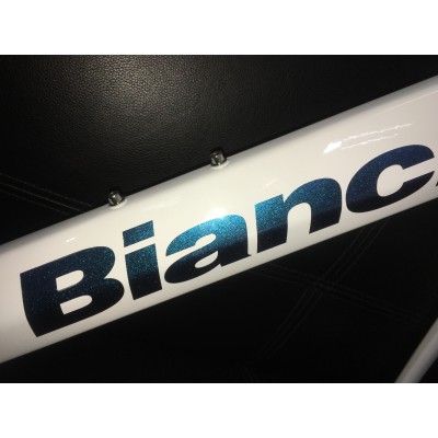 Bianchi XR4  Carbon Fiber Road Bicycle Frame-Canyon Aeroad 2021