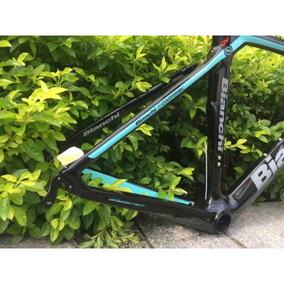 Bianchi XR4  Carbon Fiber Road Bicycle Frame-Canyon Aeroad 2021