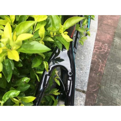 Bianchi XR4  Carbon Fiber Road Bicycle Frame-Canyon Aeroad 2021