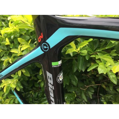 Bianchi XR4  Carbon Fiber Road Bicycle Frame-Canyon Aeroad 2021