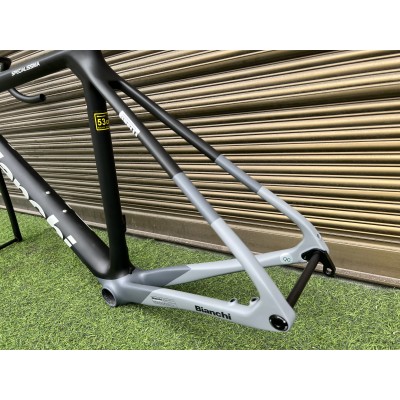 Bianchi Specialissima Carbon Fiber Road Bicycle Frame White-Bianchi Specialissima