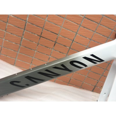 Carbon Fiber Road Bike Bicycle Frame Canyon 2021 New Aeroad Disc Gray and white-Canyon Aeroad 2021