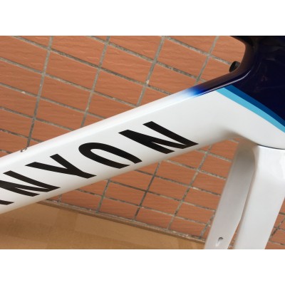 Carbon Fiber Road Bike Bicycle Frame Canyon 2021 New Aeroad Disc-Canyon Aeroad 2021