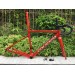 Colnago V3RS Carbon Frame Road Bicycle Redimage