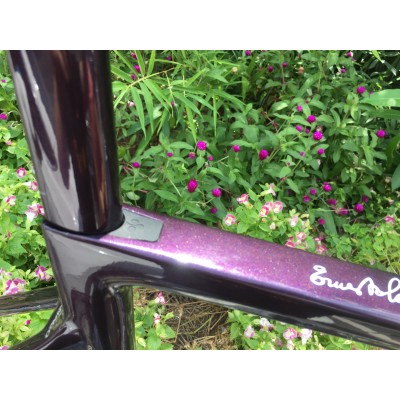 Colnago V3RS Carbon Frame Road Bicycle Chameleon Purple-Colnago V3RS V-Brake & Disc Brake