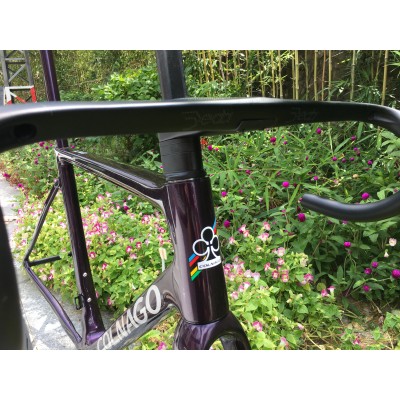 Colnago V3RS Carbon Frame Road Bicycle Chameleon Purple-Colnago V3RS V-Brake & Disc Brake