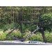 Colnago V3RS Carbon Frame Road Bicycle Chameleon Purpleimage