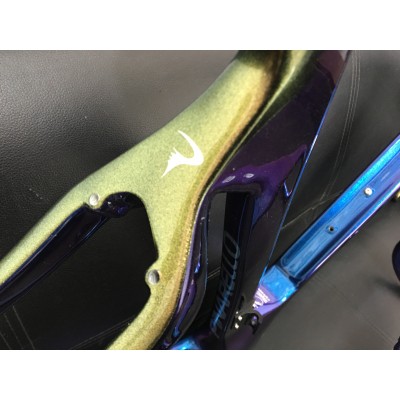 Cuadro de bicicleta de carretera de carbono Pinarello DogMa F12