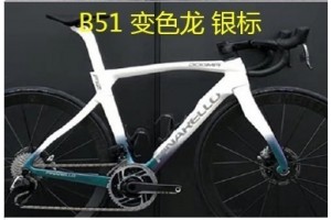 Pinarello DogMa F12 Carbon Road Bike Frame