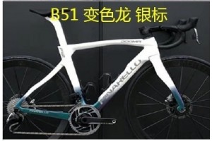 Pinarello DogMa F12 Carbonfaser-Rennradrahmen, Felgenbremse