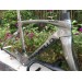 Pinarello DogMa F12 Carbon Fiber Road Bicycle Frame Rim Brake Greyimage