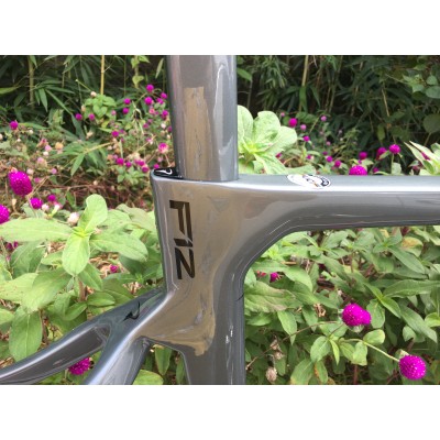 Pinarello DogMa F12 Disc Supported Carbon Road Bike Frame Grey-Dogma F12 Disk Fren