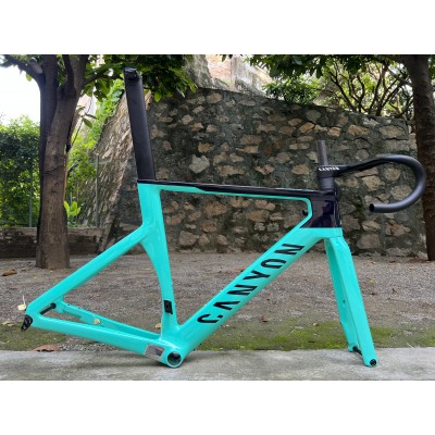 Canyon 2021 New Aeroad Disc Brake Carbon Fiber Road Bicycle Frame Mint Green-Canyon Aeroad 2021