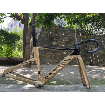 Canyon 2021 New Aeroad Disc Brake Carbon Fiber Road Bicycle Frame White-Canyon Aeroad 2021