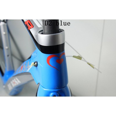 Cuadro de bicicleta de bicicleta de carretera De Rosa 888 de fibra de carbono-De Rosa Frame