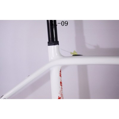 Süsinikkiust maanteeratta jalgrattaraam Trek-TREK Frame