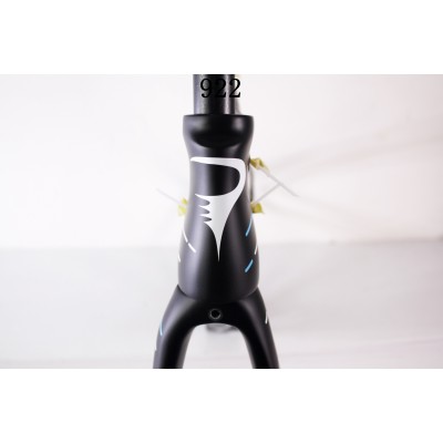 Telaio per bici da corsa Pinarello DogMa F10 Carbon 169 Asteriod-Dogma F10 V Brake & Disc Brake