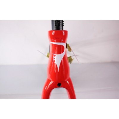 Pinarello DogMa F10 Carbon Road Road Cadru 169 Asteriod-Dogma F10 V Brake & Disc Brake