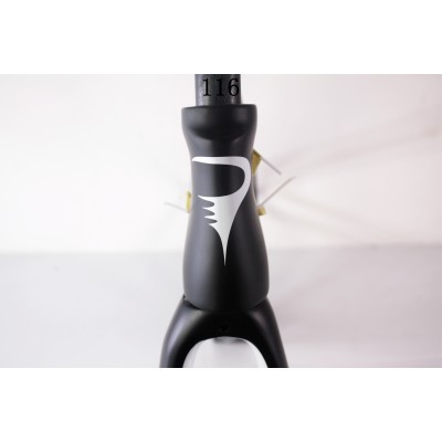 Telaio per bici da corsa Pinarello DogMa F10 Carbon 169 Asteriod-Dogma F10 V Brake & Disc Brake