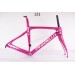Карбоновая рама шоссейного велосипеда Pinarello DogMa F10 169 Asteriodimage