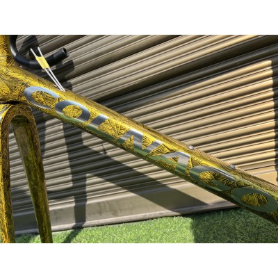 Colnago V3RS Carbon Frame Road Bicycle Golden Ice Crack-Colnago V3RS V-Brake & Disc Brake