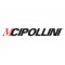 Cipollini