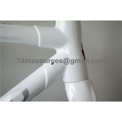 Colnago C59 süsinikkarkassiga maanteejalgratas-Colnago C59