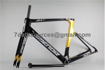 Carbon Fiber Road Bike Cykelram Mendiz RST Gold