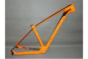 Mountain Bike Specialized S-works Carbon Bicycle Frame 