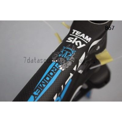 Pinarello Carbon Road Bike Biciclete Dogma F8 Rinoceri-Dogma F8