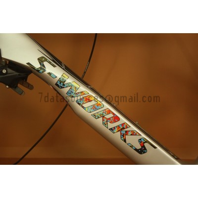 Cuadro de carbono para bicicleta S-works Venge ViAS-S-Works VIAS