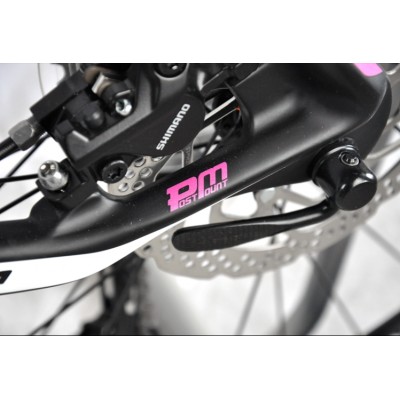 Bicicletta UCC MTB Carbon La versione completa Terminator Pink Bike-The Terminator Complete Bike