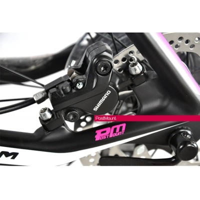 Bicicleta de carbono UCC MTB The Terminator Version Pink Complete Bike-The Terminator Complete Bike